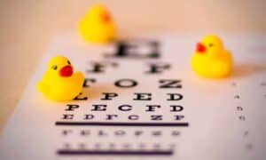 eye chart duck toys